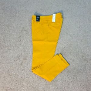 New York Company Audrey Pant